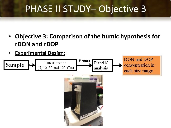 PHASE CONCLUSIONS II STUDY– Objective 3 • Objective 3: Comparison of the humic hypothesis