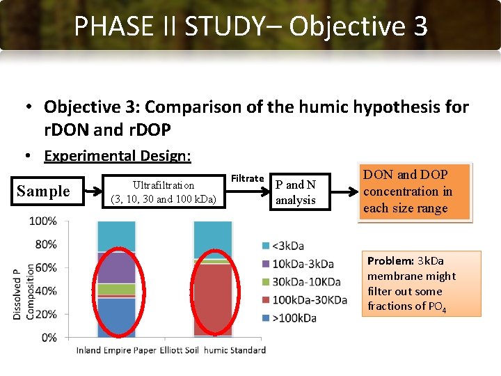 PHASE CONCLUSIONS II STUDY– Objective 3 • Objective 3: Comparison of the humic hypothesis