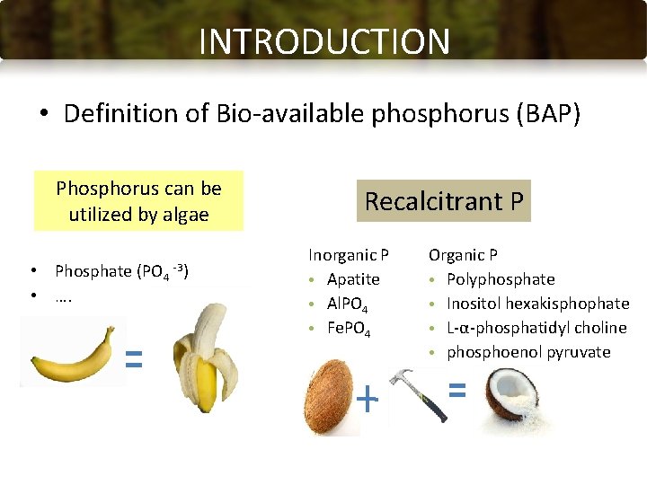 INTRODUCTION • Definition of Bio-available phosphorus (BAP) Phosphorus can be utilized by algae •