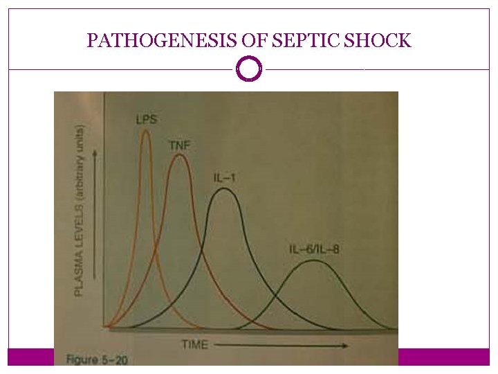 PATHOGENESIS OF SEPTIC SHOCK 