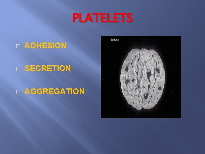 PLATELETS � ADHESION � SECRETION � AGGREGATION 