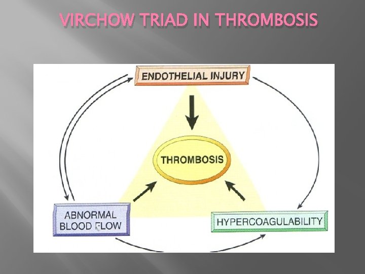 VIRCHOW TRIAD IN THROMBOSIS 