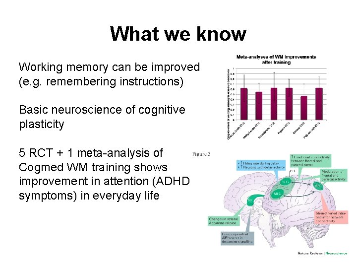 What we know Working memory can be improved (e. g. remembering instructions) Basic neuroscience