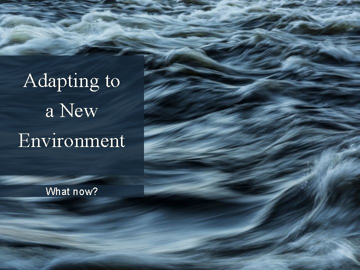 Adapting to a New Environment What now? MDT TAC 