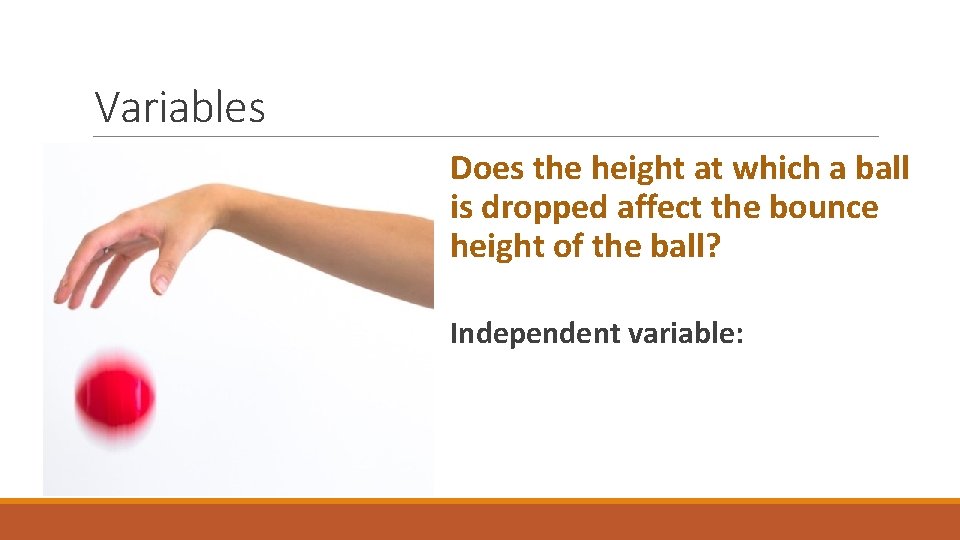 Variables Does the height at which a ball is dropped affect the bounce height