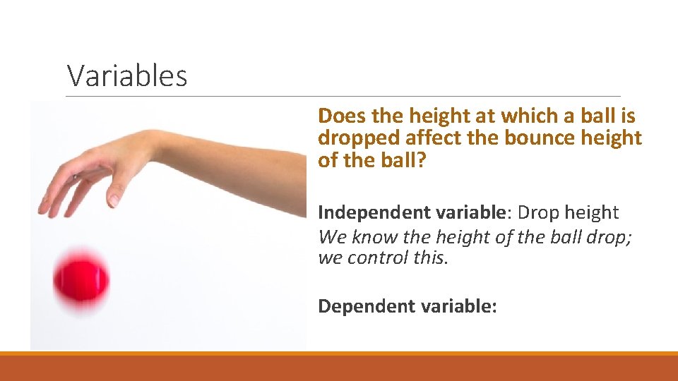 Variables Does the height at which a ball is dropped affect the bounce height