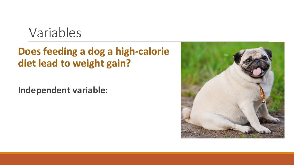 Variables Does feeding a dog a high-calorie diet lead to weight gain? Independent variable: