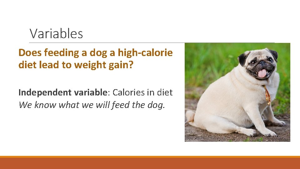 Variables Does feeding a dog a high-calorie diet lead to weight gain? Independent variable: