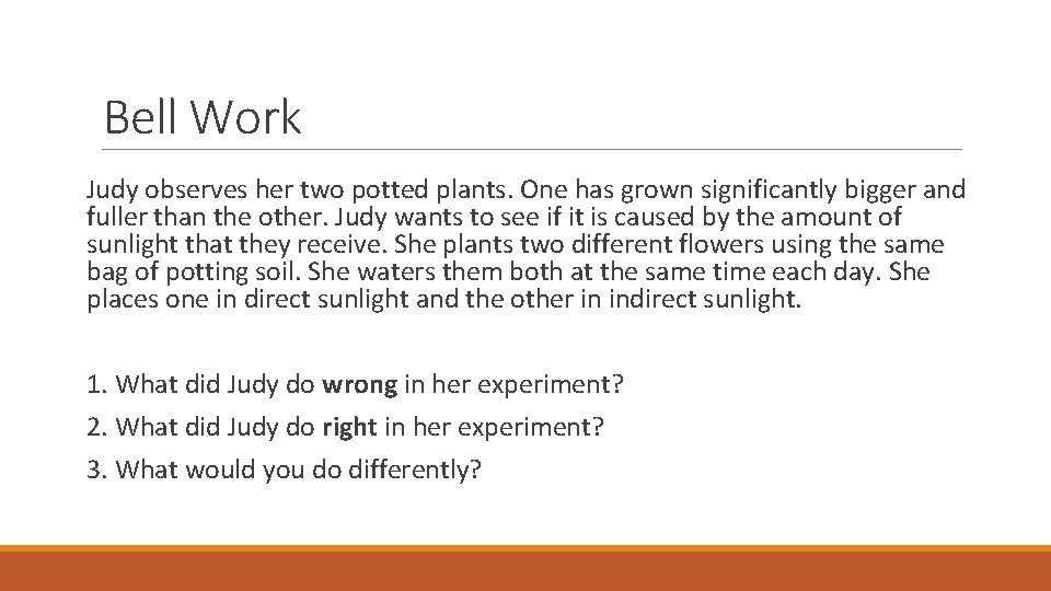 Bell Work Judy observes her two potted plants. One has grown significantly bigger and