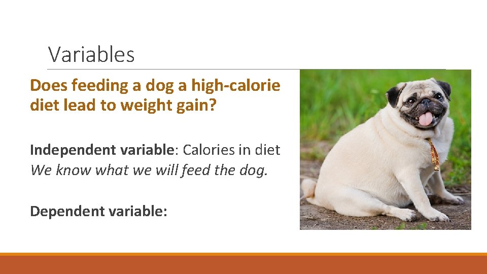 Variables Does feeding a dog a high-calorie diet lead to weight gain? Independent variable: