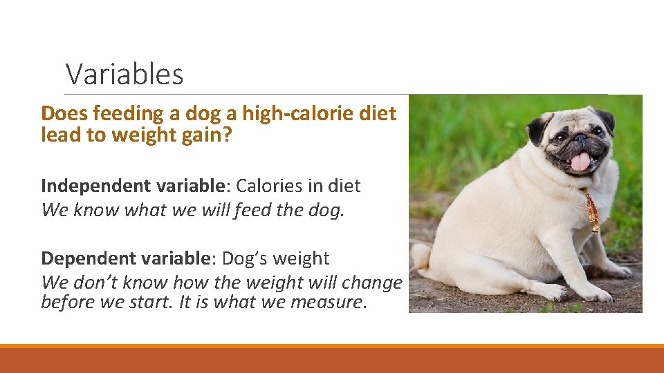 Variables Does feeding a dog a high-calorie diet lead to weight gain? Independent variable: