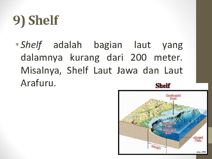 9) Shelf • Shelf adalah bagian laut yang dalamnya kurang dari 200 meter. Misalnya,