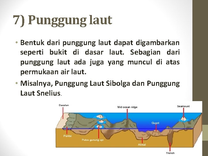 7) Punggung laut • Bentuk dari punggung laut dapat digambarkan seperti bukit di dasar