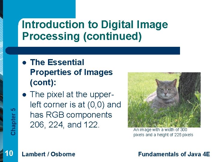 Introduction to Digital Image Processing (continued) l Chapter 5 l 10 The Essential Properties
