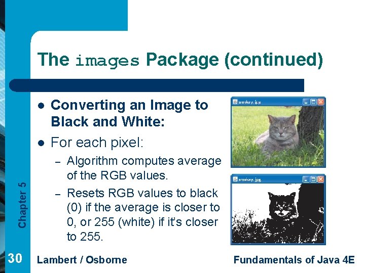 The images Package (continued) l l Converting an Image to Black and White: For