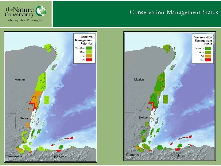 Conservation Management Status 