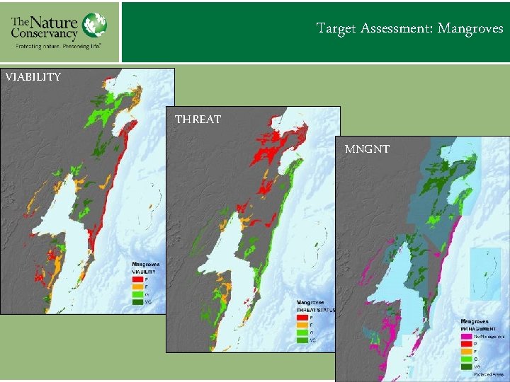 Target Assessment: Mangroves VIABILITY THREAT MNGNT 