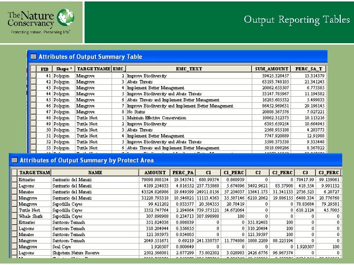 Output Reporting Tables 