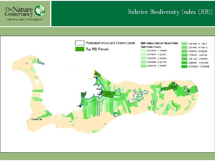 Relative Biodiversity Index (RBI) 