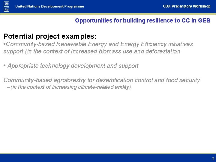 CBA Preparatory Workshop Opportunities for building resilience to CC in GEB Potential project examples: