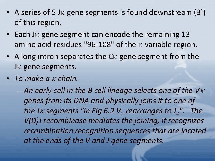  • A series of 5 J gene segments is found downstream (3`) of