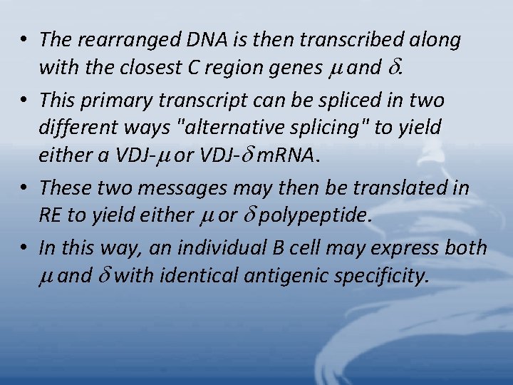  • The rearranged DNA is then transcribed along with the closest C region
