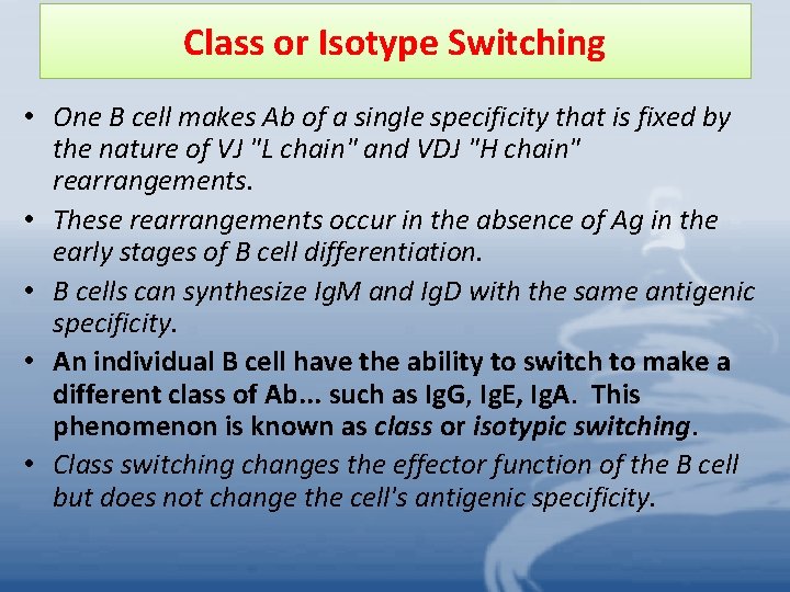 Class or Isotype Switching • One B cell makes Ab of a single specificity