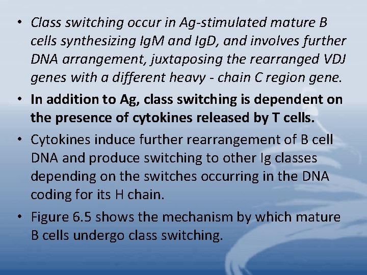  • Class switching occur in Ag-stimulated mature B cells synthesizing Ig. M and