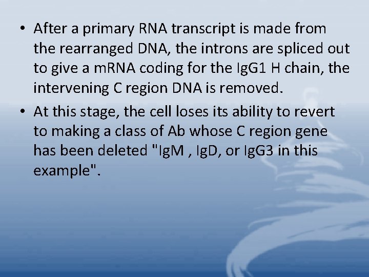  • After a primary RNA transcript is made from the rearranged DNA, the