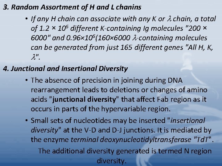 3. Random Assortment of H and L chanins • If any H chain can