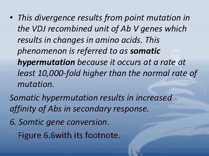 • This divergence results from point mutation in the VDJ recombined unit of