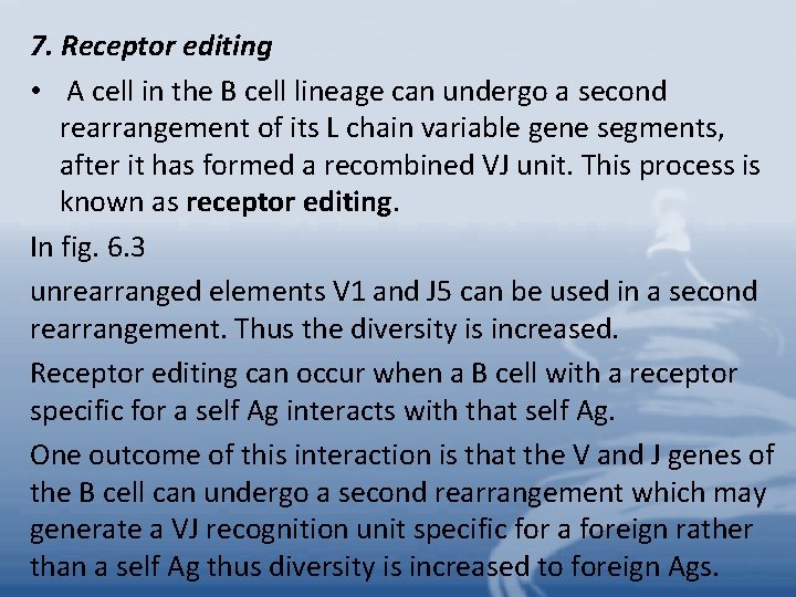 7. Receptor editing • A cell in the B cell lineage can undergo a
