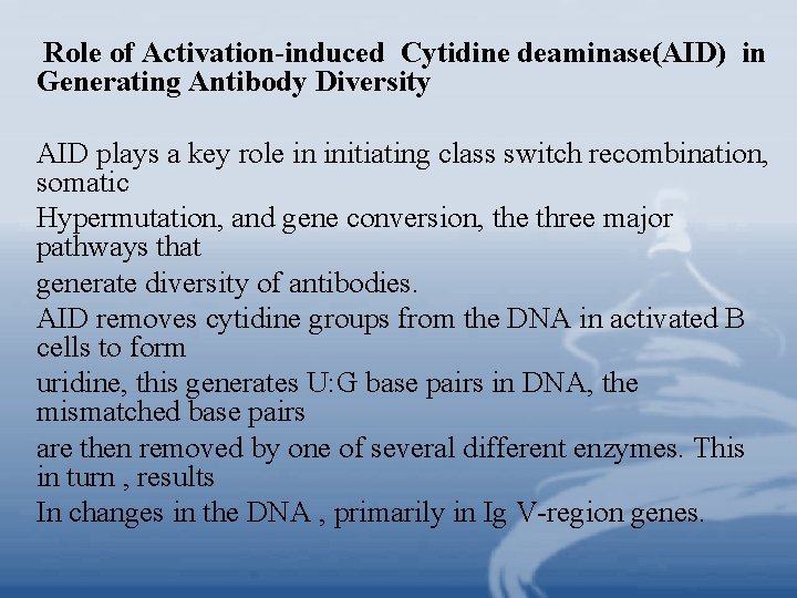 Role of Activation-induced Cytidine deaminase(AID) in Generating Antibody Diversity AID plays a key role