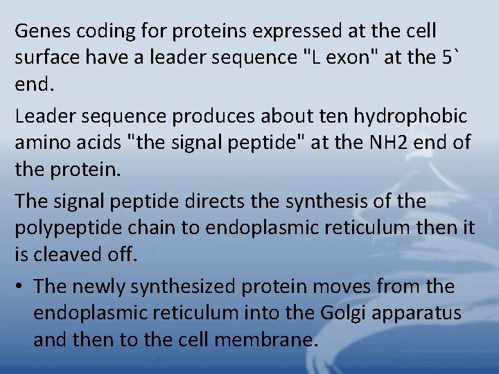 Genes coding for proteins expressed at the cell surface have a leader sequence "L