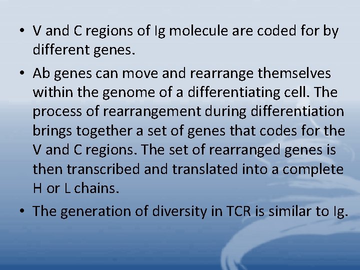  • V and C regions of Ig molecule are coded for by different