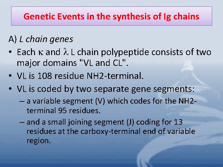 Genetic Events in the synthesis of Ig chains A) L chain genes • Each