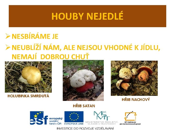 HOUBY NEJEDLÉ Ø NESBÍRÁME JE Ø NEUBLÍŽÍ NÁM, ALE NEJSOU VHODNÉ K JÍDLU, NEMAJÍ