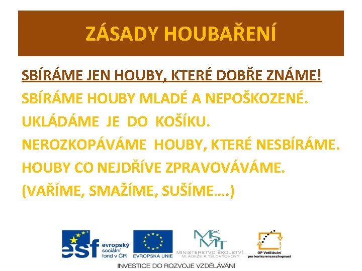 ZÁSADY HOUBAŘENÍ SBÍRÁME JEN HOUBY, KTERÉ DOBŘE ZNÁME! SBÍRÁME HOUBY MLADÉ A NEPOŠKOZENÉ. UKLÁDÁME