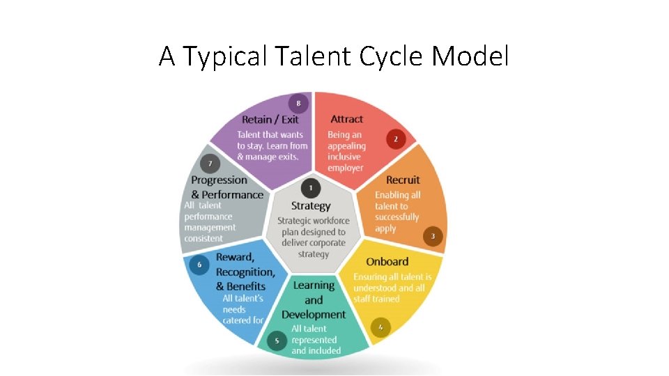 A Typical Talent Cycle Model 
