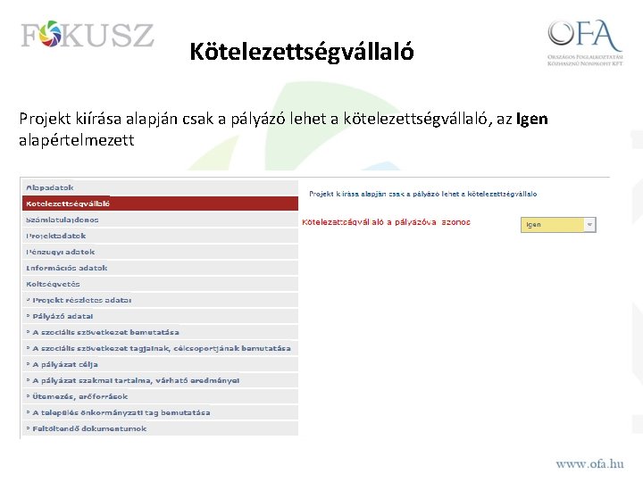 Kötelezettségvállaló Projekt kiírása alapján csak a pályázó lehet a kötelezettségvállaló, az Igen alapértelmezett 