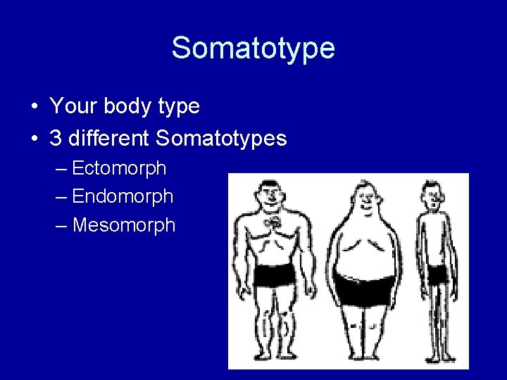 Somatotype • Your body type • 3 different Somatotypes – Ectomorph – Endomorph –