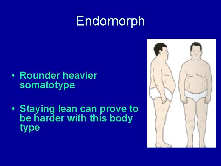 Endomorph • Rounder heavier somatotype • Staying lean can prove to be harder with