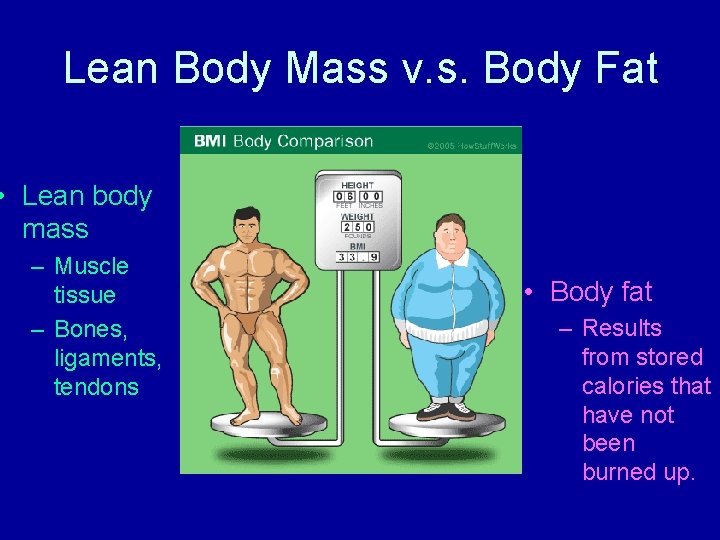 Lean Body Mass v. s. Body Fat • Lean body mass – Muscle tissue