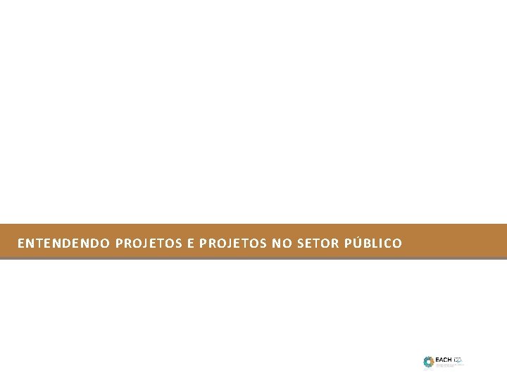 ENTENDENDO PROJETOS E PROJETOS NO SETOR PÚBLICO 