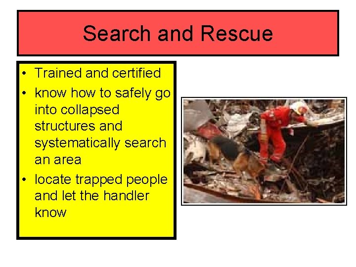 Search and Rescue • Trained and certified • know how to safely go into