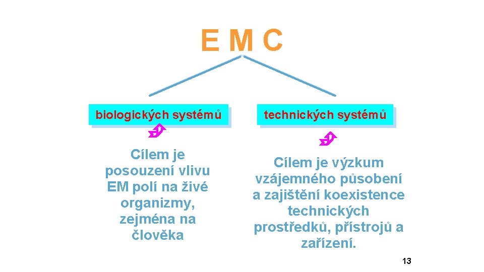 EMC biologických systémů Cílem je posouzení vlivu EM polí na živé organizmy, zejména na