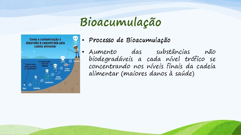 Bioacumulação • Processo de Bioacumulação • Aumento das substâncias não biodegradáveis a cada nível