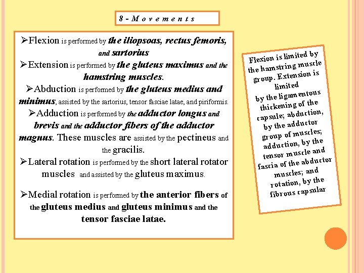8 -Movements ØFlexion is performed by the iliopsoas, rectus femoris, and sartorius ØExtension is