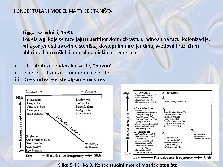 KONCEPTULANI MODEL MATRICE STANIŠTA • Biggs i saradnici, 1998. • Podela algi koje se