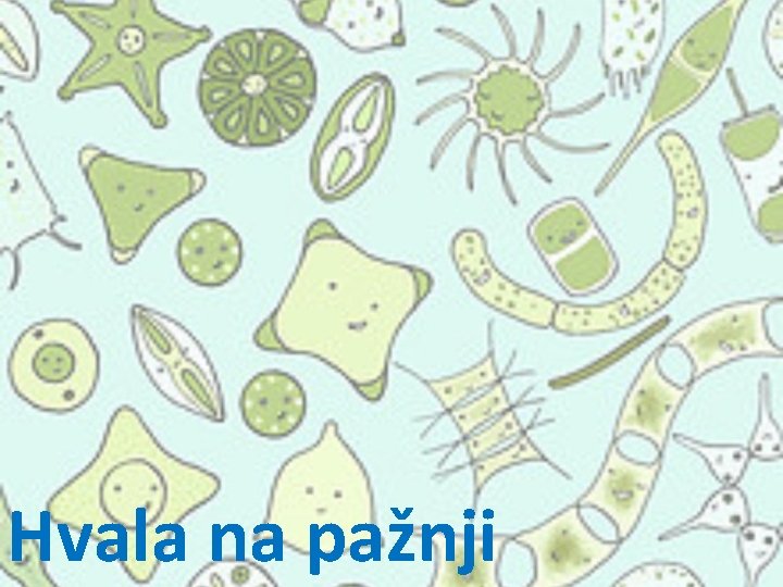 Hvala na pažnji 